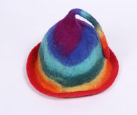 Thumbnail for Rainbow felted hat