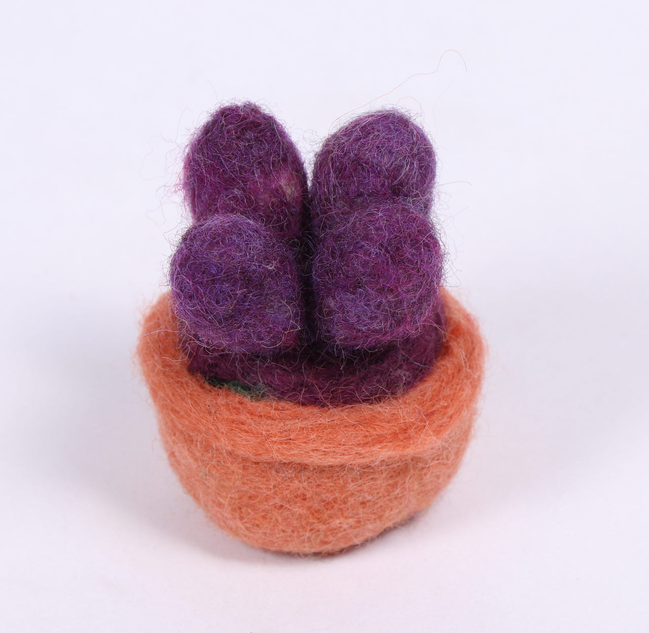 Wool felt plants